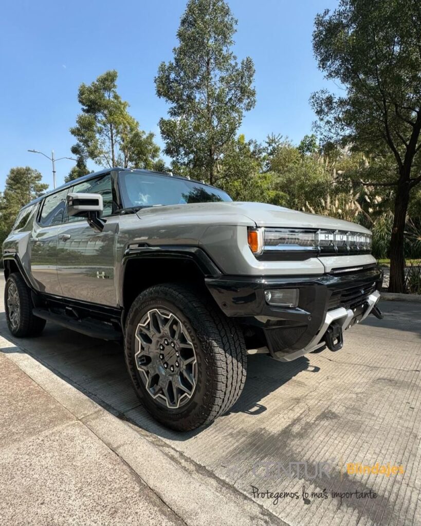 Imagen de WhatsApp 2025-09-09 a las 13.16.24_0ff958f8